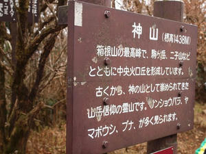 PB100013shuusei.JPG