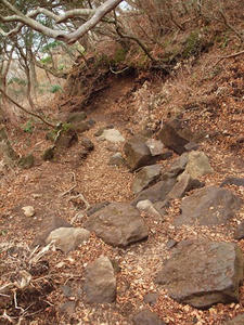 PB100031shuusei.JPG
