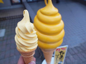 PB100045shuusei.JPG