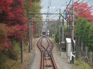 PB100165shuusei.JPG