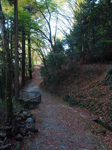 PB181006shuusei.JPG