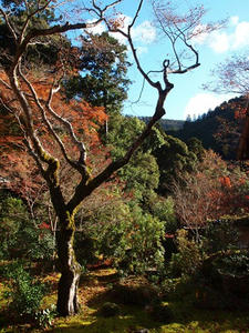 PB181061shuusei.JPG