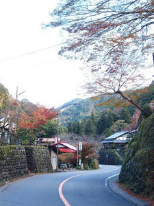PB181071shuusei.JPG