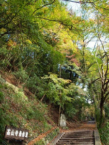 PB181073shuusei.JPG