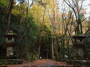 PB181076shuusei.JPG