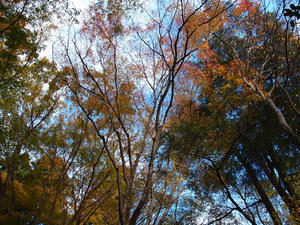 PB181087shuusei.JPG