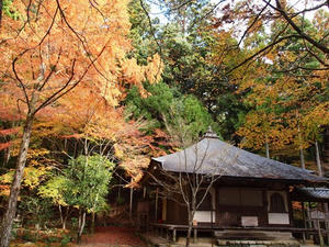 PB181107shuusei.JPG