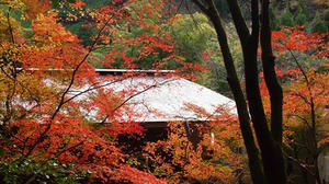 PB181111shuusei.JPG