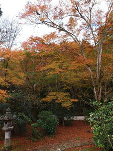 PB181120shuusei.JPG