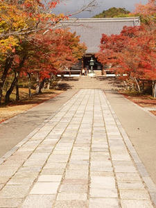 PB181168shuusei.JPG