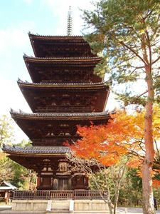 PB181172shuusei.JPG