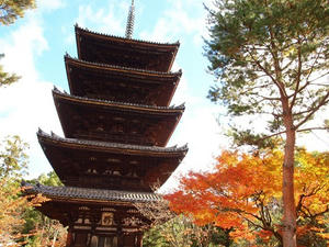 PB181177shuusei.JPG