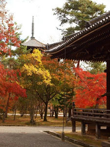 PB181190shuusei.JPG