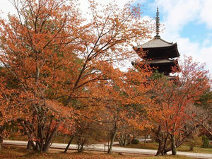 PB181194shuusei.JPG
