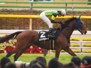 PB294279shuusei.JPG