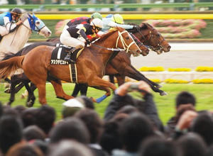 PB294333shuusei.JPG
