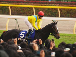 PB294392shuusei.JPG