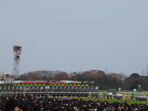 PB294453shuusei.JPG