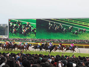 PB294465shuusei.JPG
