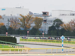 PB294495shuusei.JPG