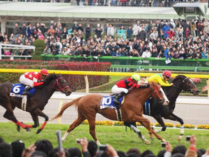 PB294535shuusei.JPG