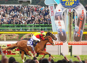 PB294537shuusei.JPG