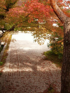 PB181211shuusei.JPG