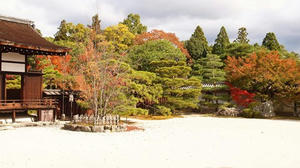 PB181214shuusei.JPG