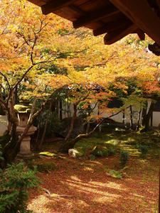 PB181220shuusei.JPG