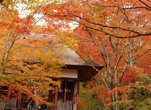 PB181249shuusei.JPG