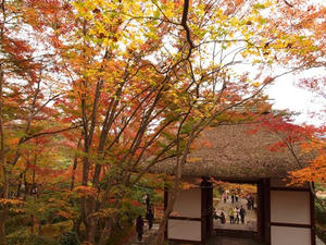 PB181280shuusei.JPG