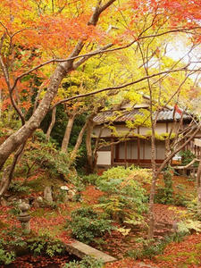 PB181302shuusei.JPG