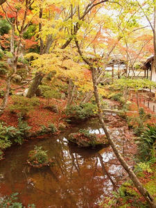 PB181337shuusei.JPG