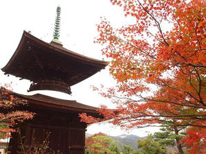 PB181313shuusei.JPG