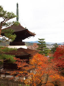 PB181335shuusei.JPG