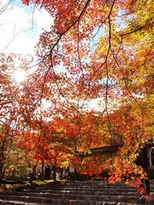 PB181378shuusei.JPG