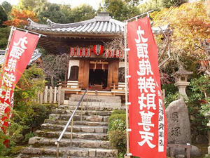 PB181417shuusei.JPG