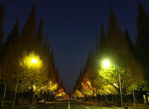 PC024746shuusei.JPG