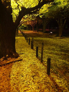 PC024755shuusei.JPG