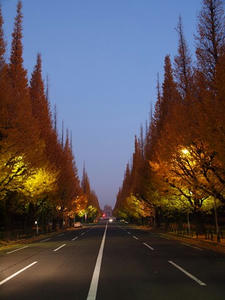 PC024776shuusei.JPG