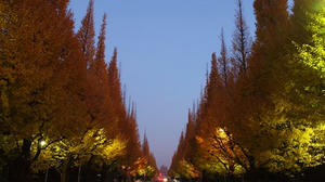 PC024777shuusei.JPG