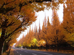 PC024793shuusei.JPG