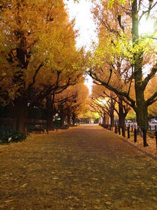 PC024799shuusei.JPG