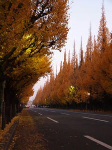 PC024810shuusei.JPG