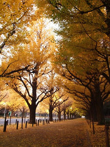 PC024822shuusei.JPG