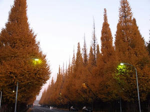 PC024832shuusei.JPG