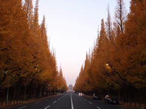 PC024830shuusei.JPG