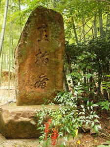 PB181451shuusei.JPG