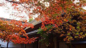 PB181469shuusei.JPG