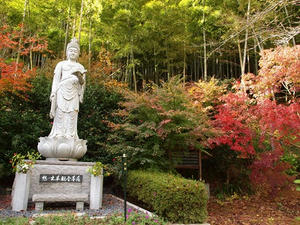 PB181484shuusei.JPG